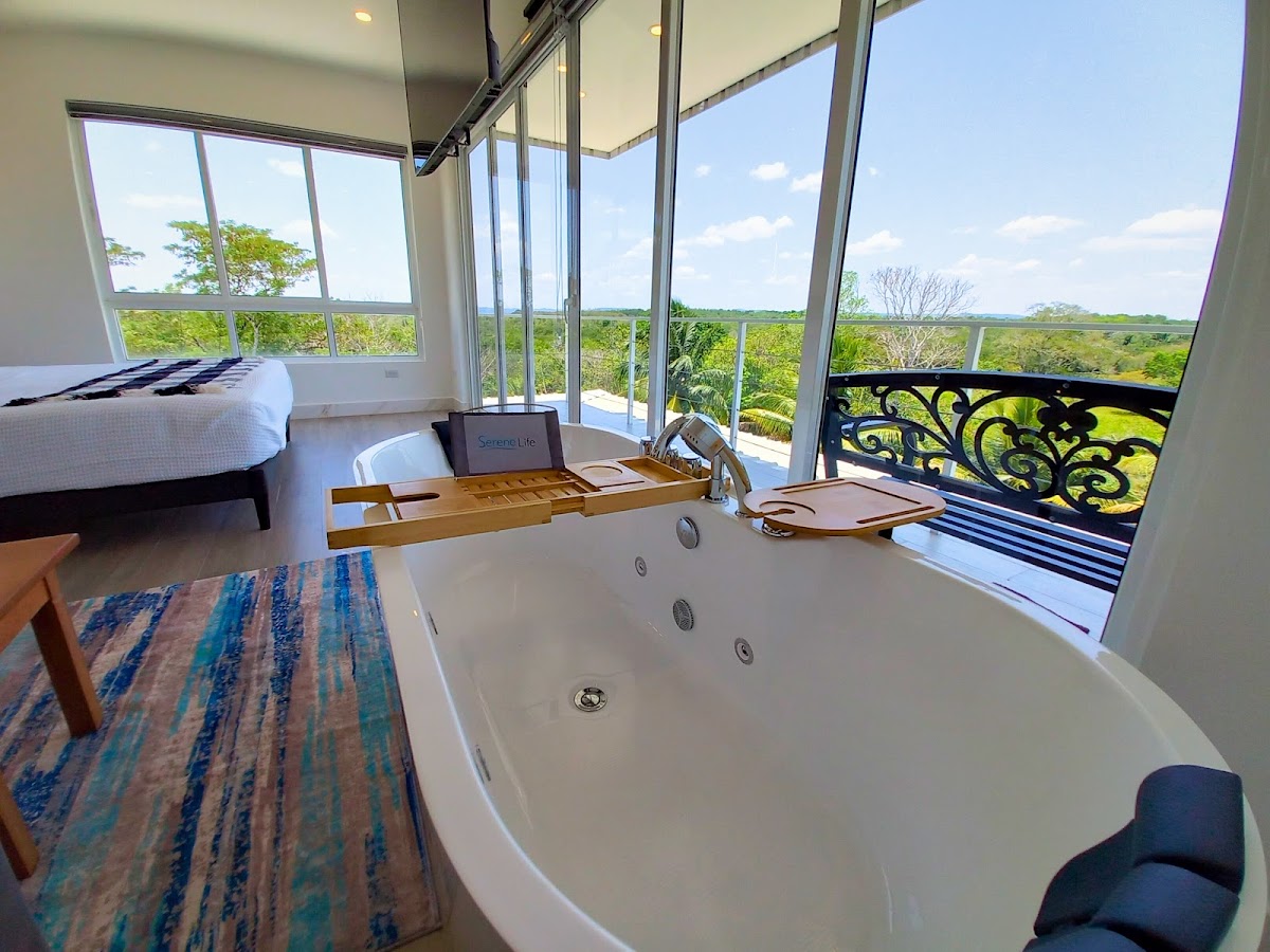 Javiellie Luxury Villa gallery 4