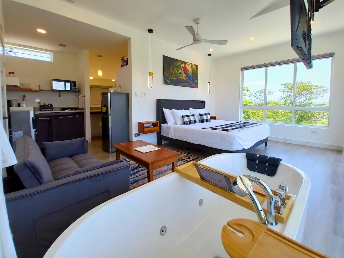 Javiellie Luxury Villa gallery 8