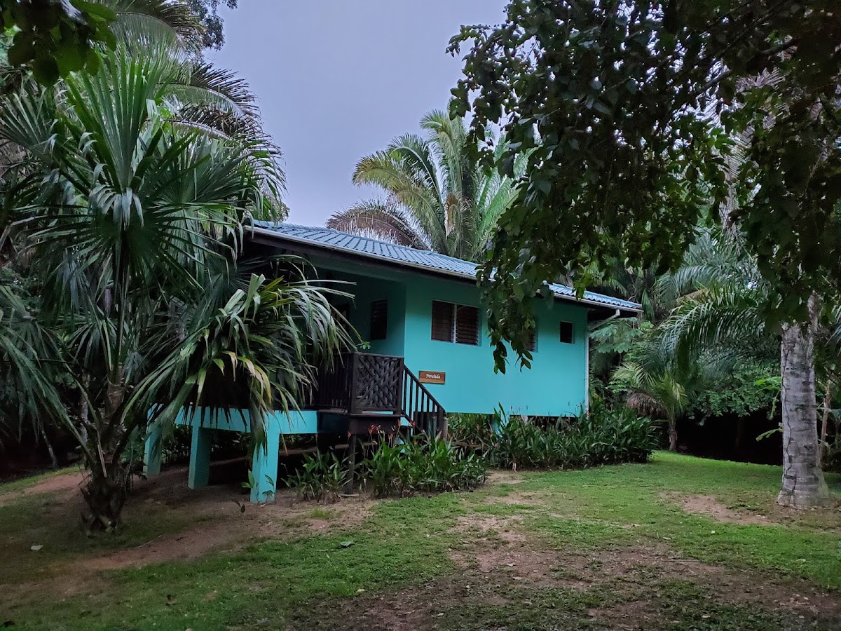 Inn The Bush Eco-Jungle Lodge gallery 2