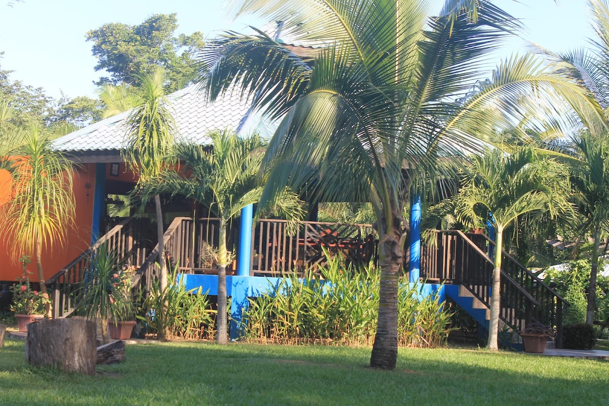 Inn The Bush Eco-Jungle Lodge gallery 3