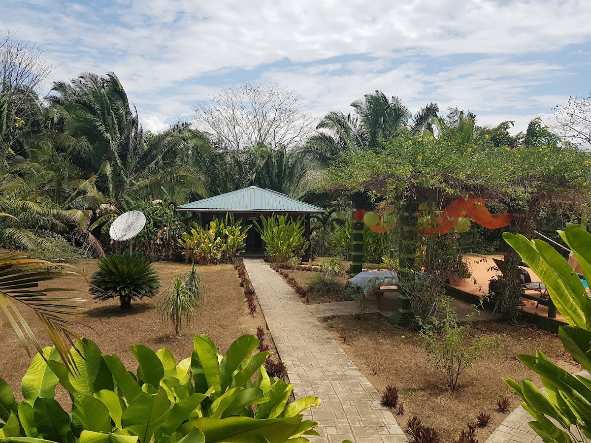 Inn The Bush Eco-Jungle Lodge gallery 7