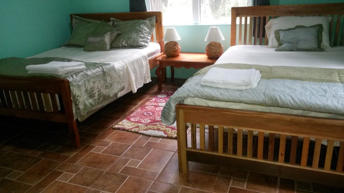 Inn The Bush Eco-Jungle Lodge gallery 10