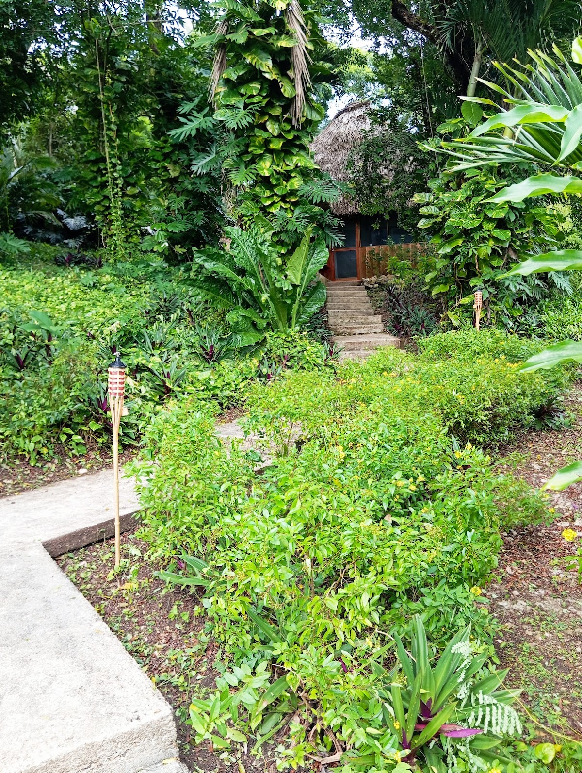 Maya Mountain Lodge gallery 9