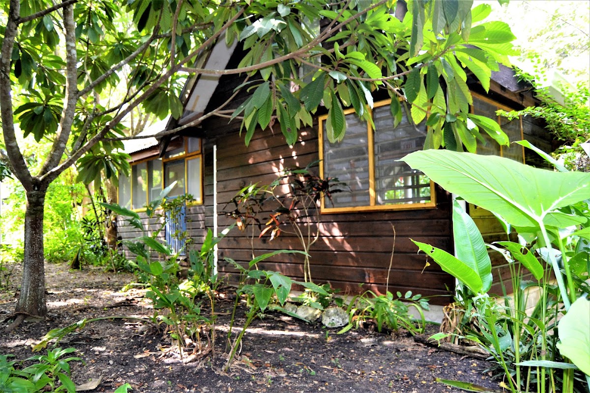 Hummingbird Rest Fully Equipped Self Catering Cabin gallery 6