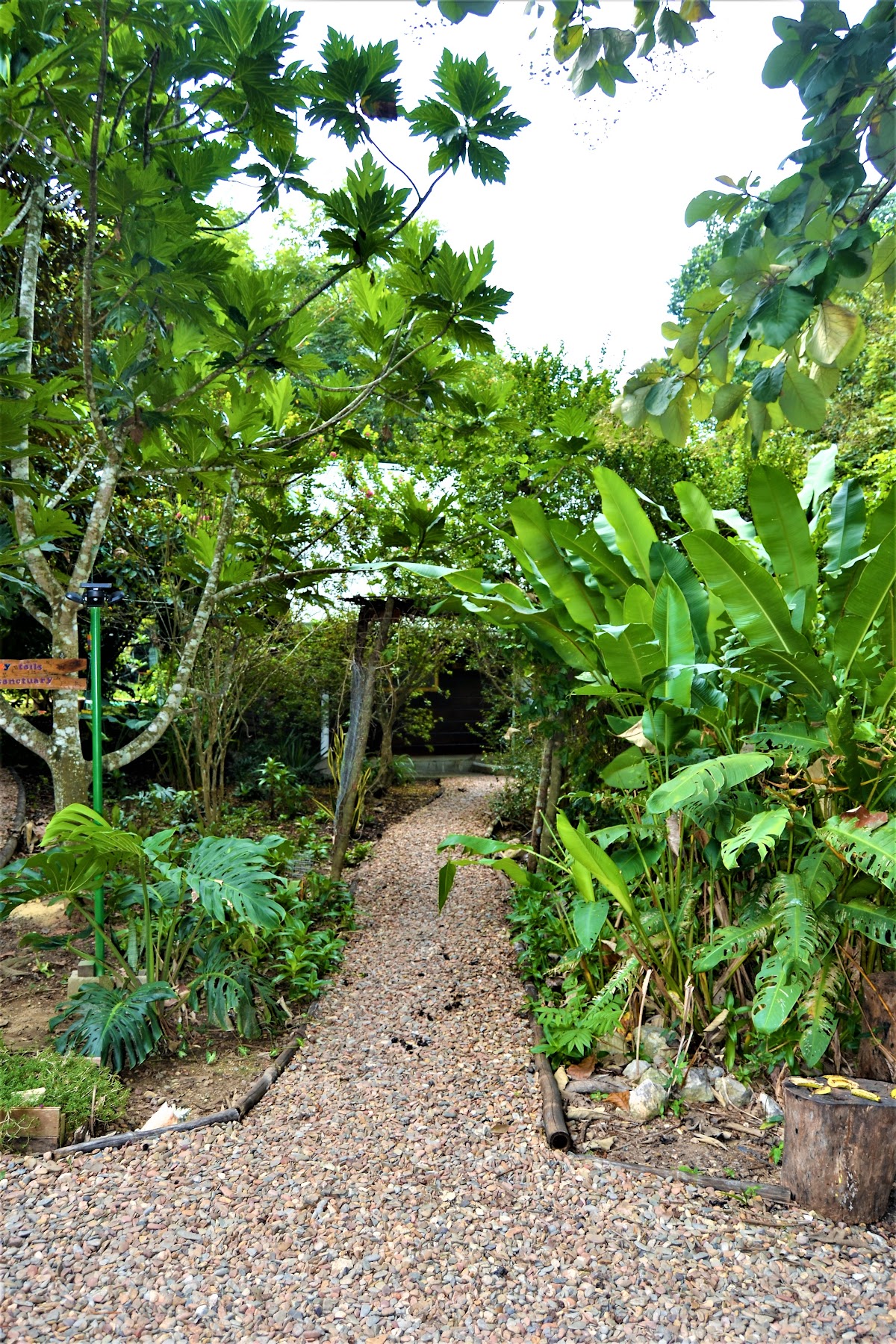 Hummingbird Rest Fully Equipped Self Catering Cabin gallery 9