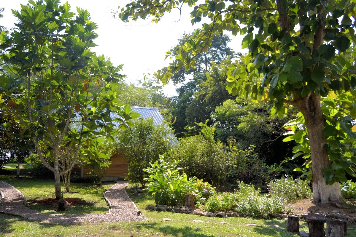 Hummingbird Rest Fully Equipped Self Catering Cabin gallery 10