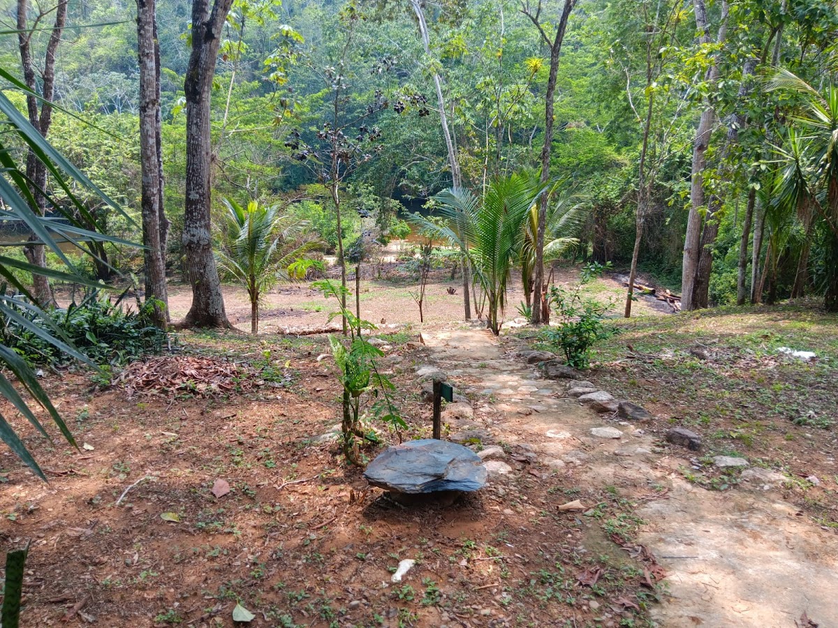 The Jungle House gallery 6