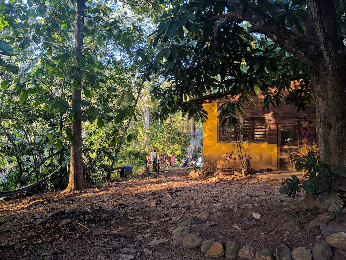 The Jungle House gallery 8