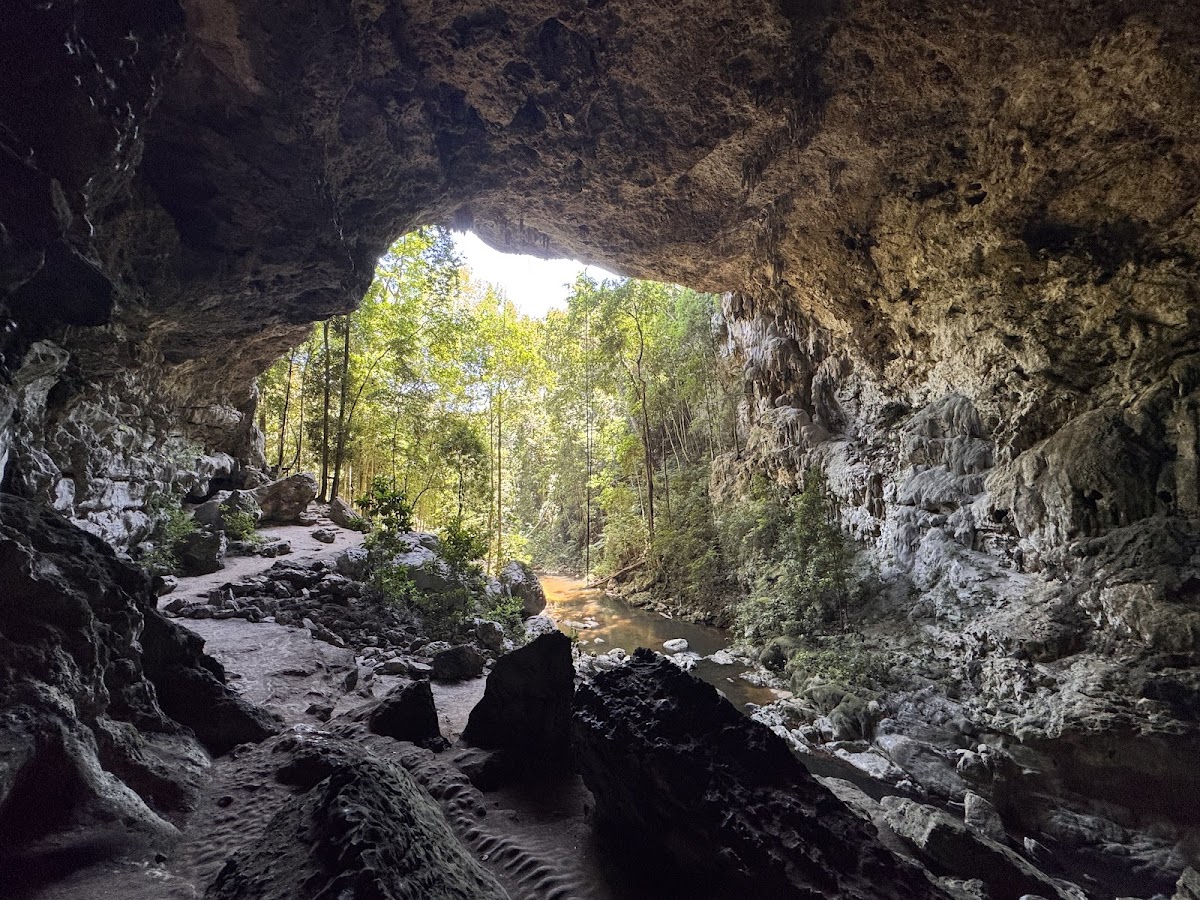Jungles Edge gallery 8