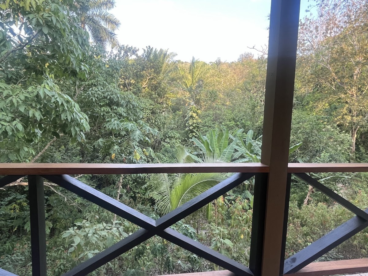 Jungles Edge gallery 9