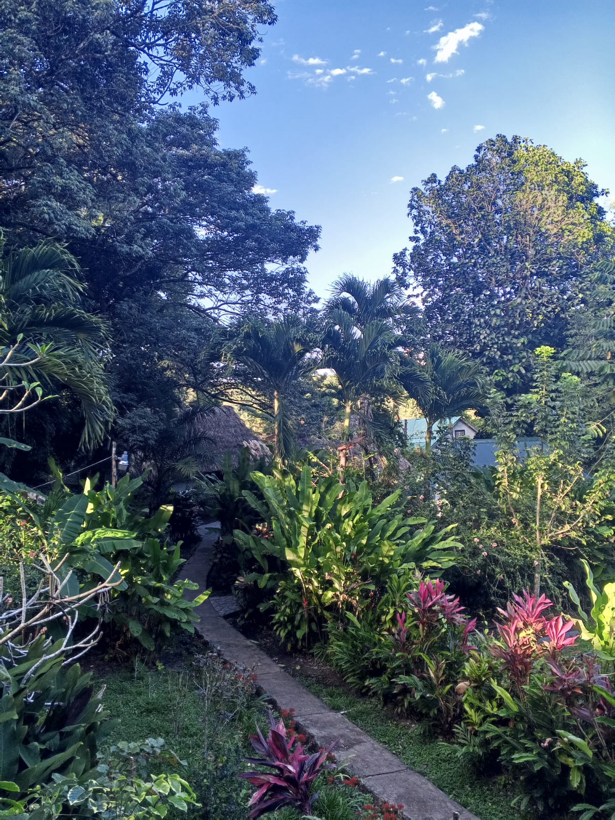 Maya Mountain Lodge gallery 10