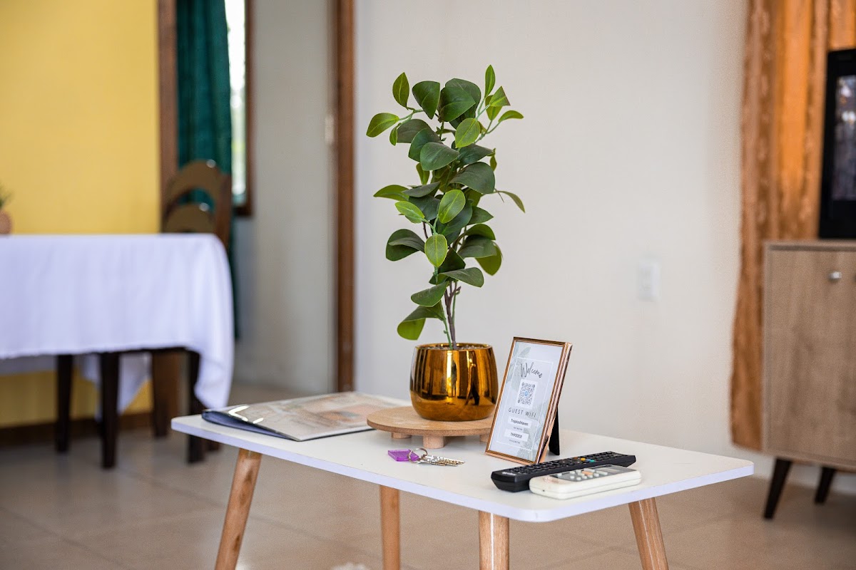 Cozy Flat in San Ignacio gallery 10