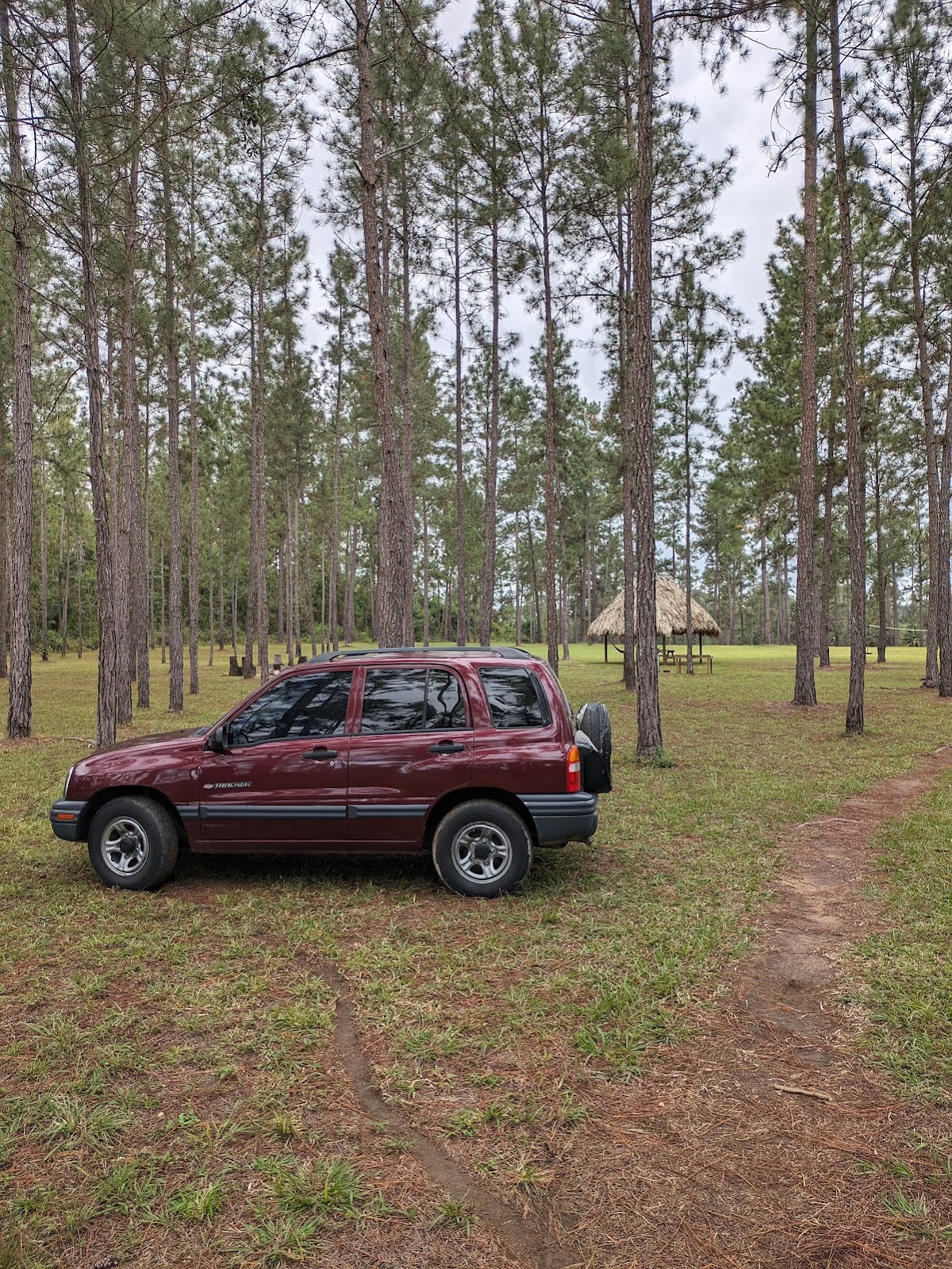 Flames Auto Rental & Shuttle Service gallery 2