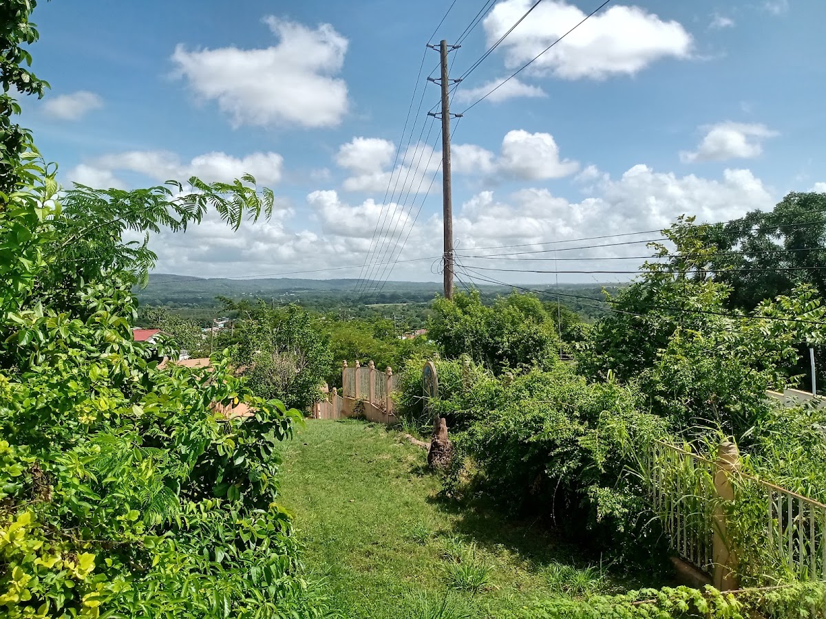 Suzie's Hilltop Villas gallery 9