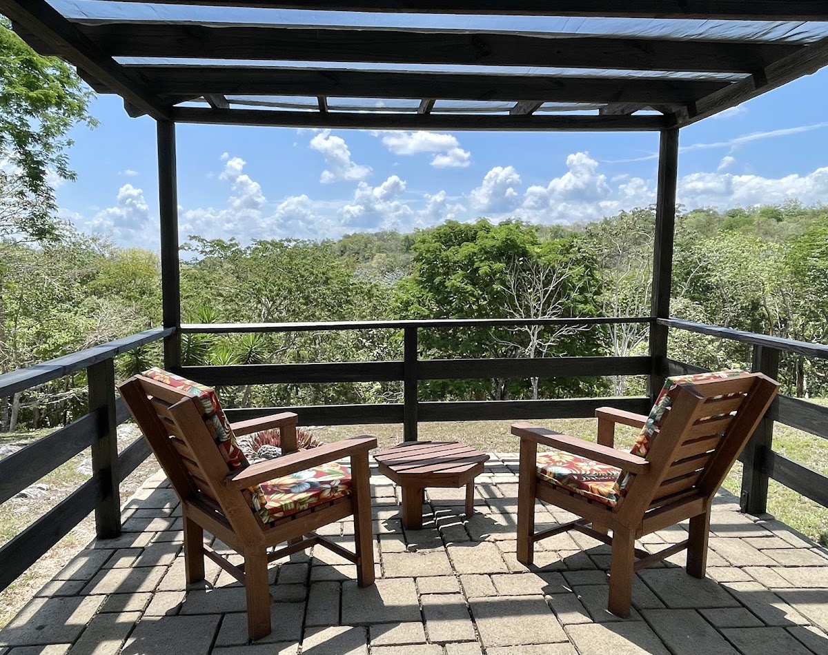 Gumbo Limbo Jungle Resort gallery 5