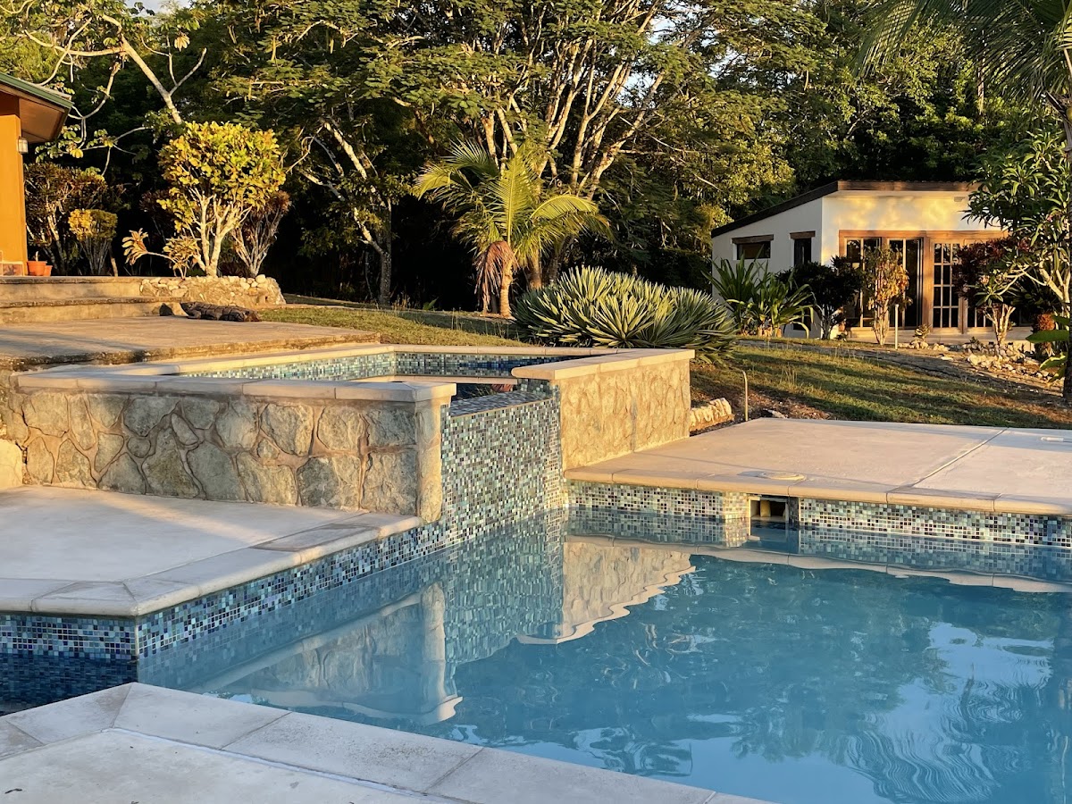 Gumbo Limbo Jungle Resort gallery 8