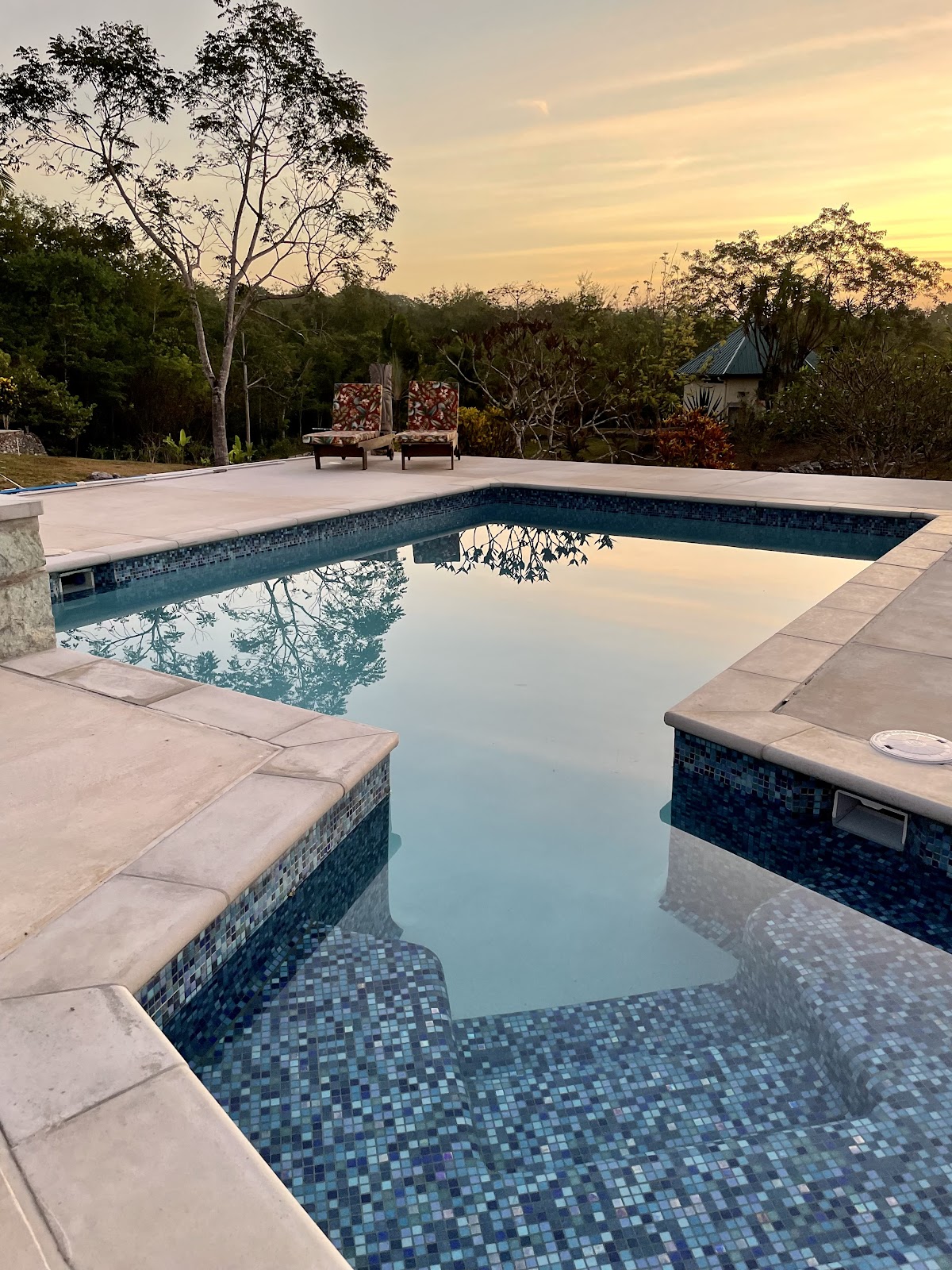 Gumbo Limbo Jungle Resort gallery 10