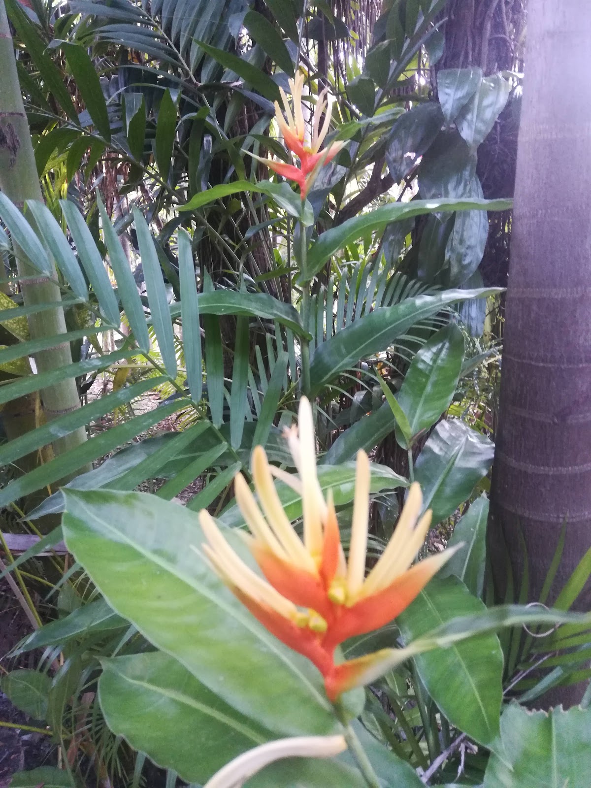 Rio Mopan Lodge Hotel gallery 5