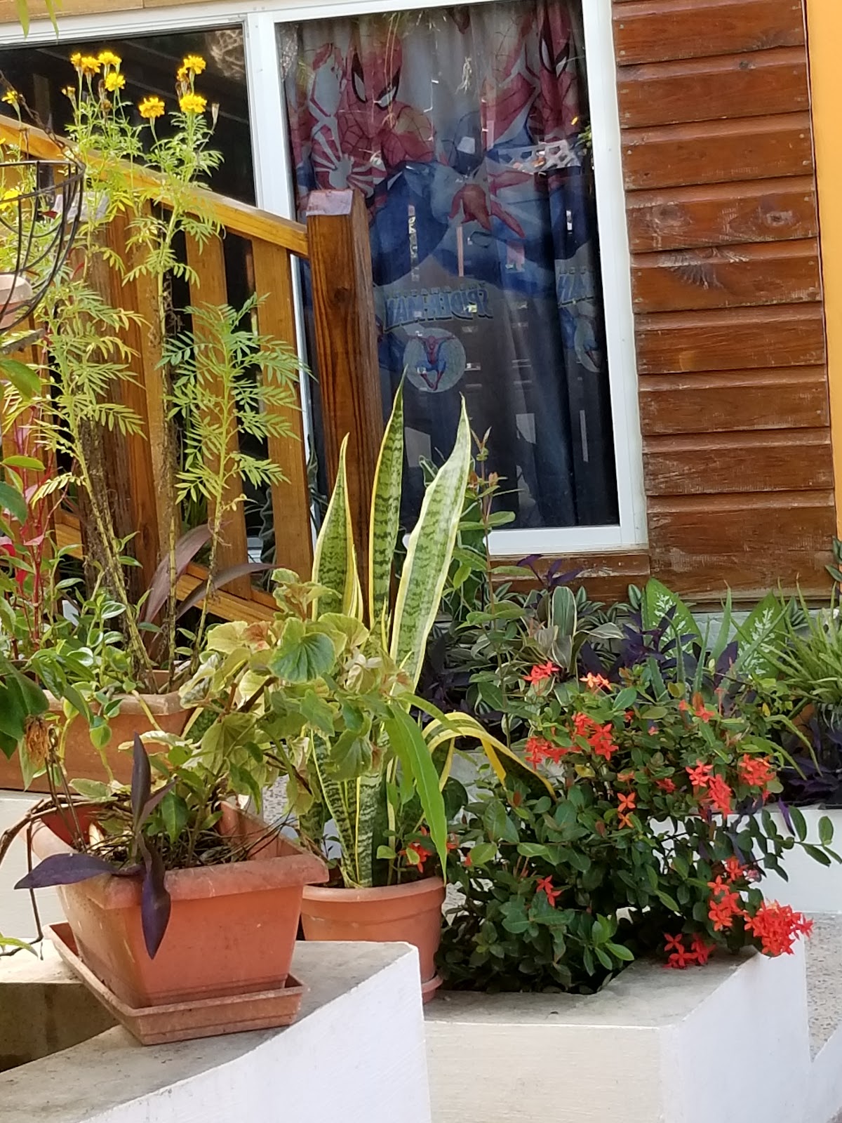 Sue’s Secret Home gallery 5