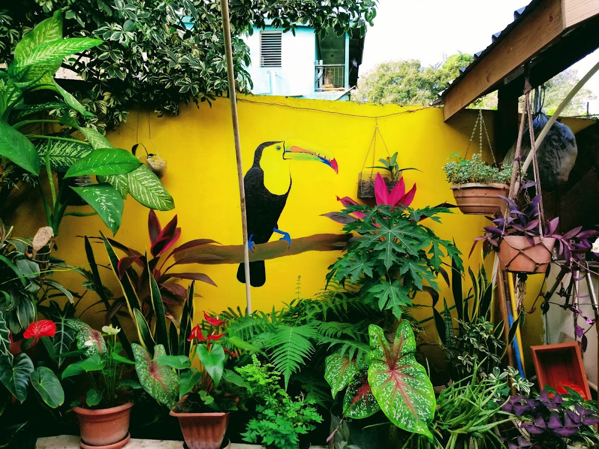 Sue’s Secret Home gallery 7