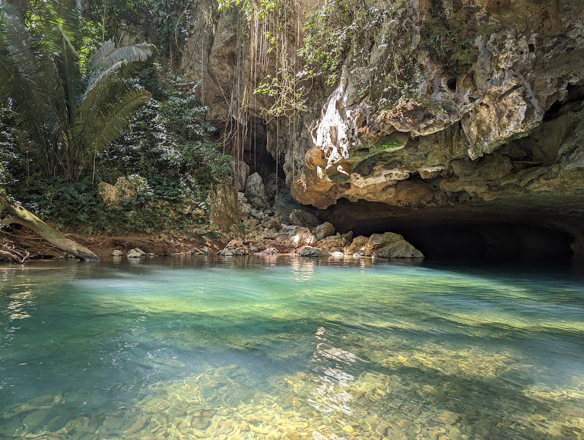 Cayo Inland Expeditions gallery 4