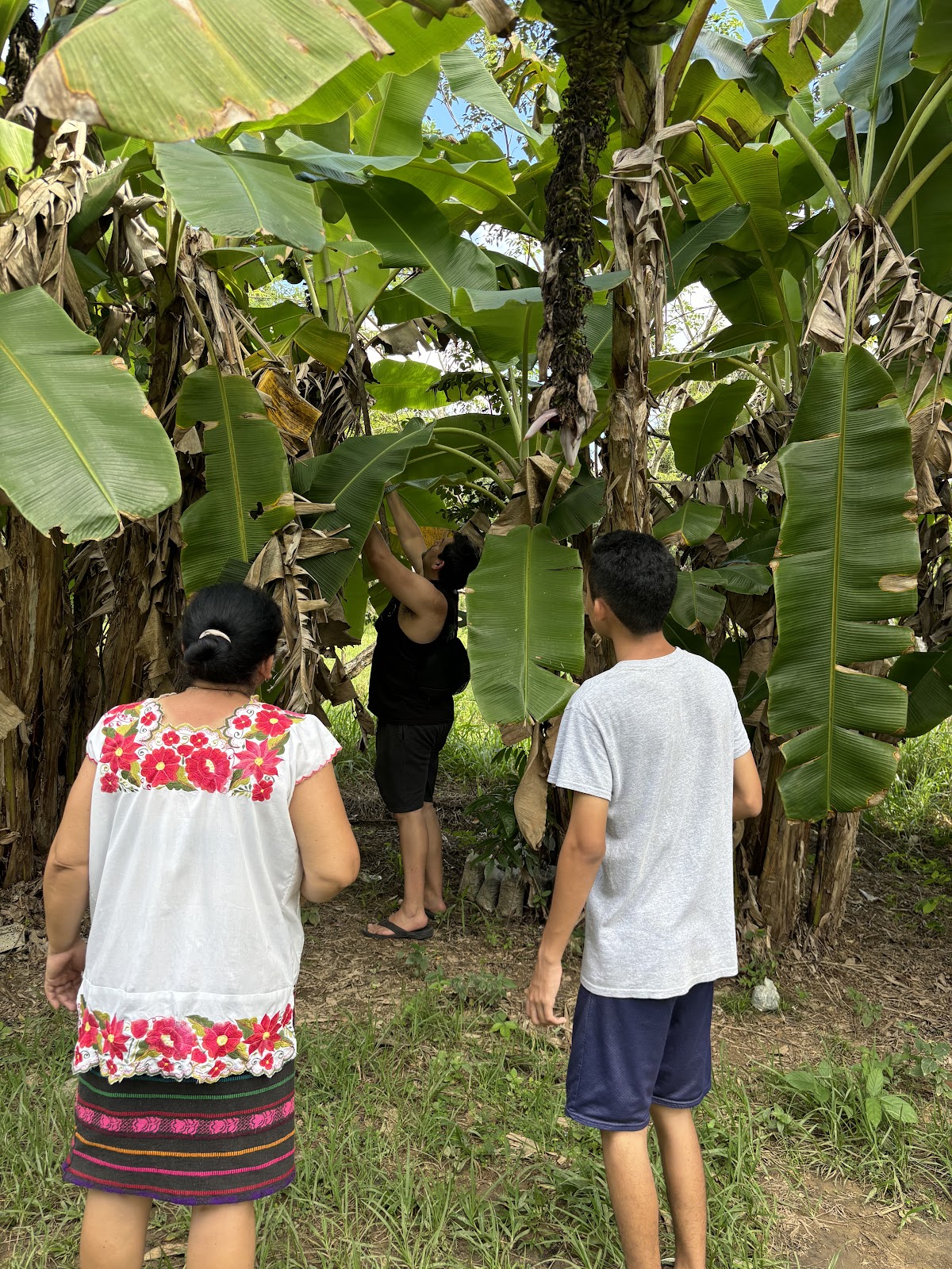 Eden Valley Mayan Kitchen gallery 8