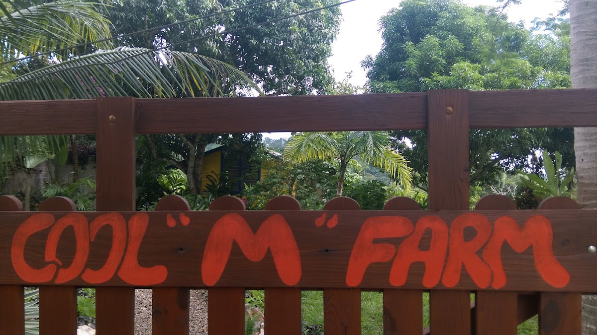 Cool M Farm gallery 5