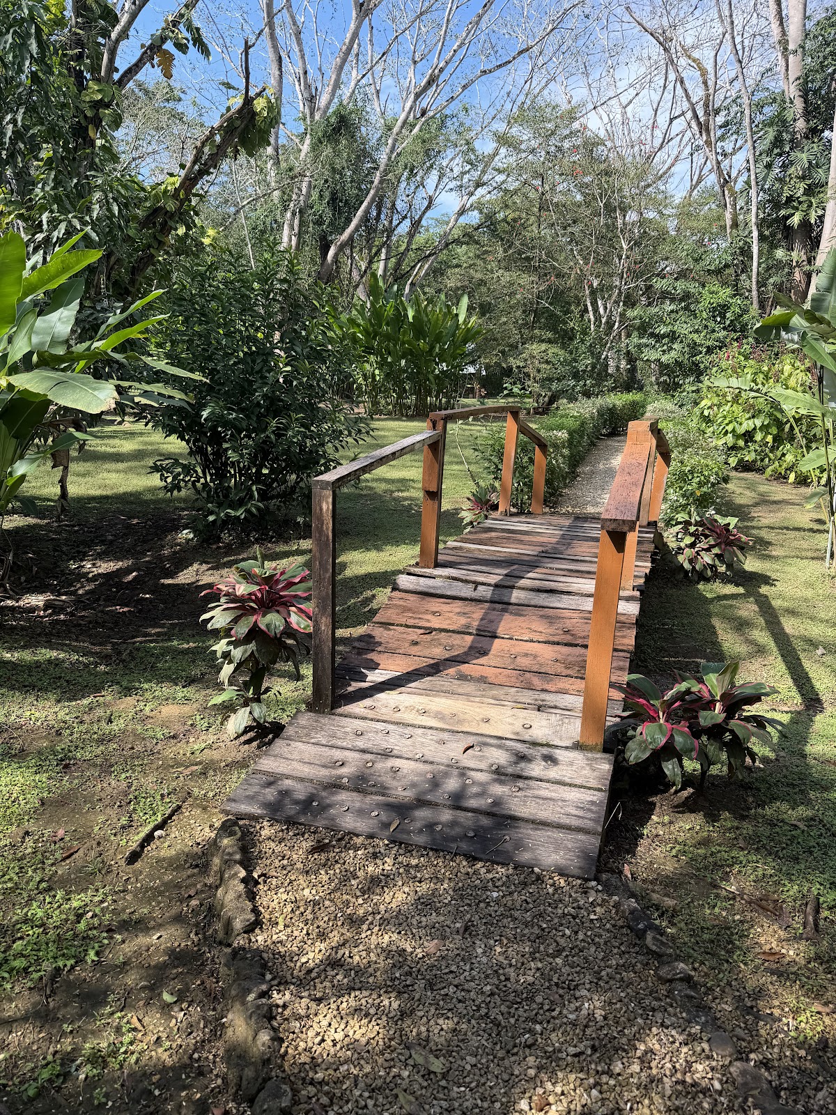 Macaw Bank Jungle Lodge gallery 2