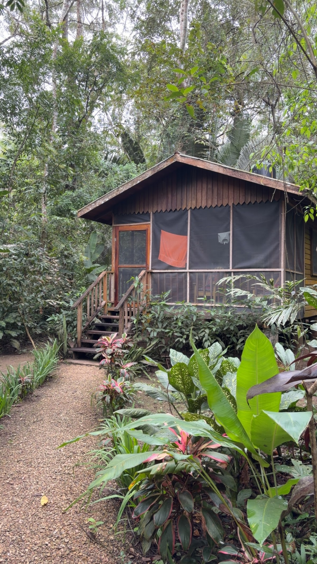 Macaw Bank Jungle Lodge gallery 3