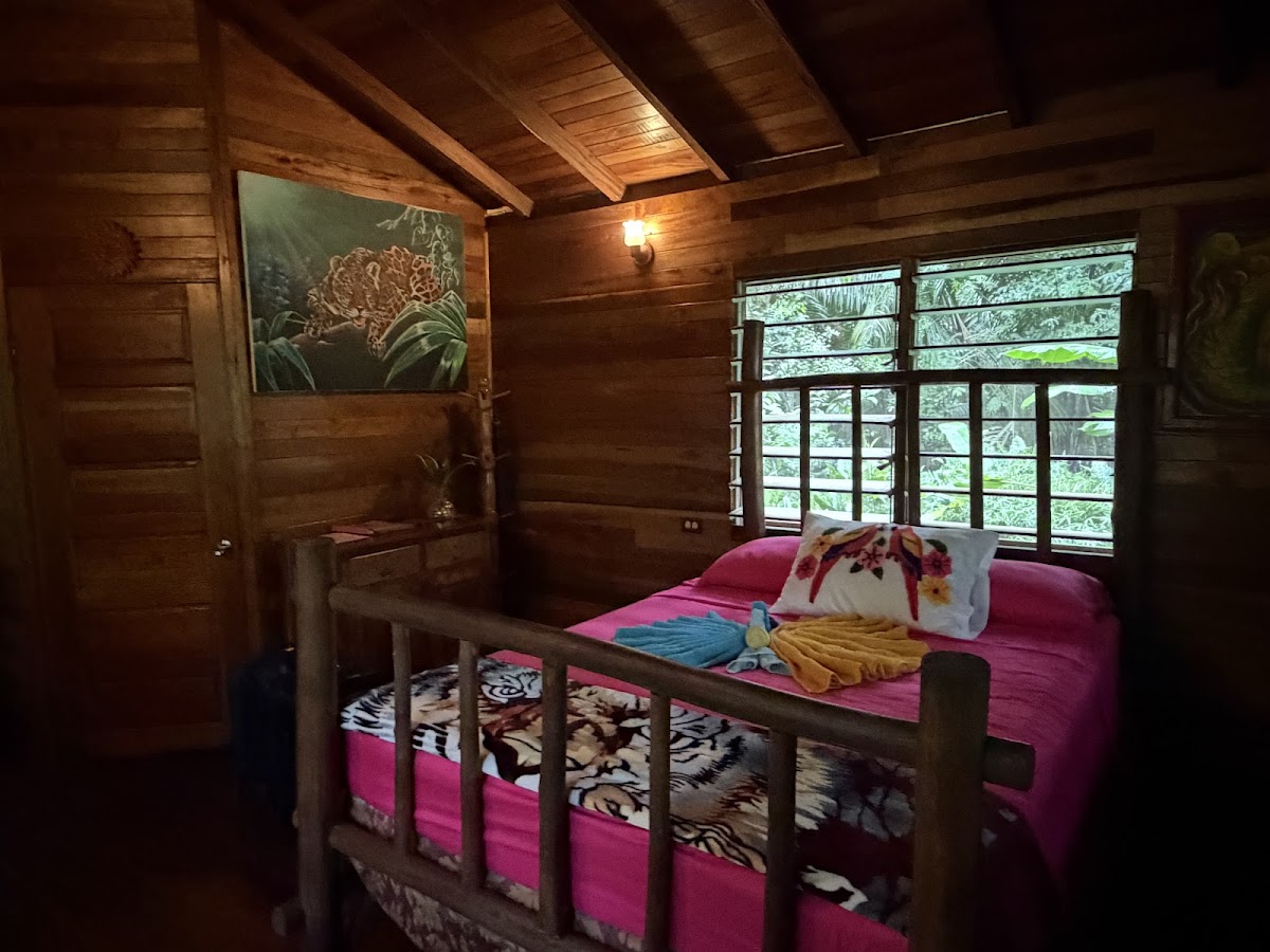 Macaw Bank Jungle Lodge gallery 6