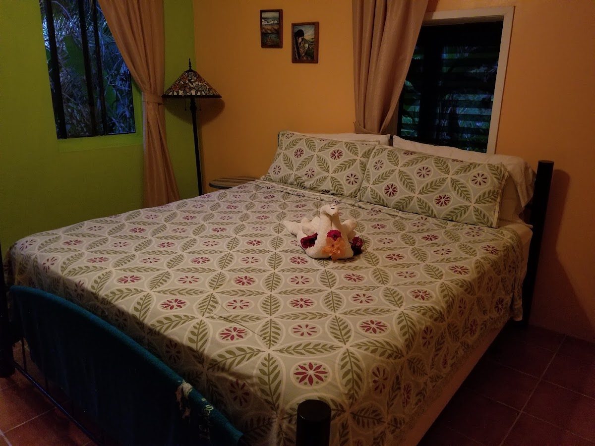 Belize Jungle Dome gallery 7
