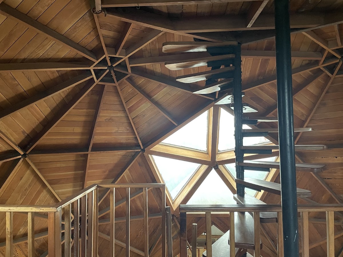 Belize Jungle Dome gallery 9
