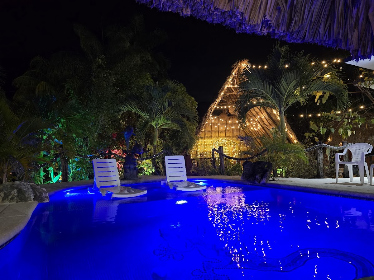 Gecko Bungalow gallery 7