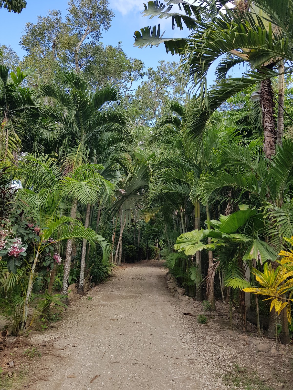 Rio Mopan Lodge Hotel gallery 10
