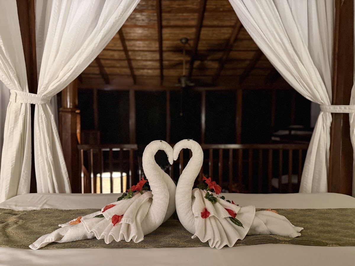 Caves Branch Jungle Lodge Tree Houses gallery 2