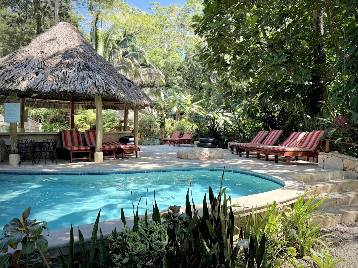 Caves Branch Jungle Lodge Tree Houses gallery 3