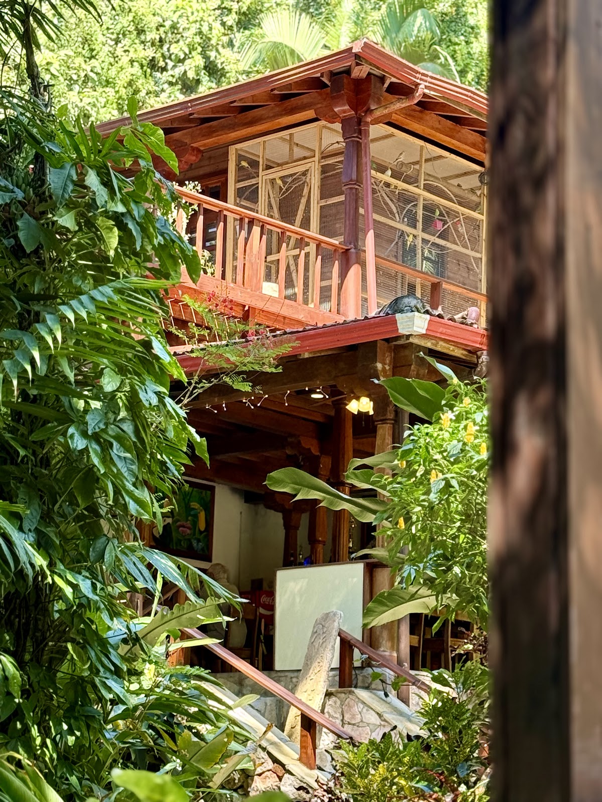Caves Branch Jungle Lodge Tree Houses gallery 5