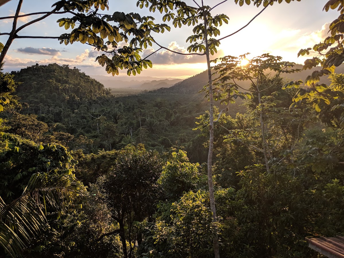 Caves Branch Jungle Lodge Tree Houses gallery 6