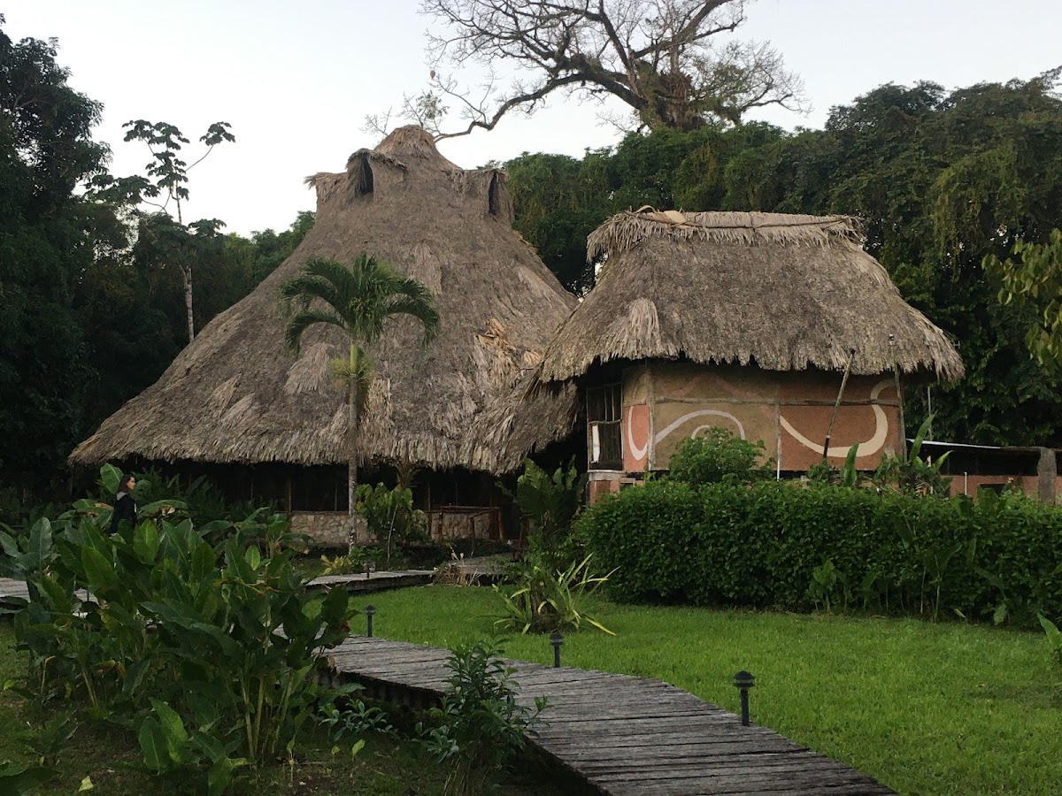 Cotton Tree Lodge cover