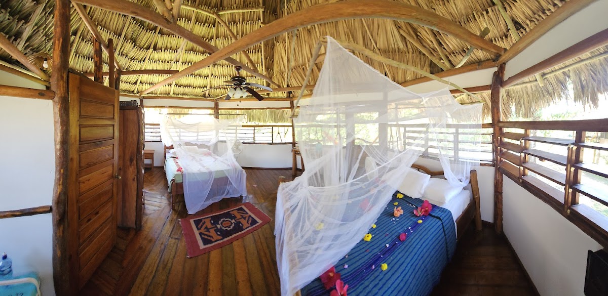 Cotton Tree Lodge gallery 2