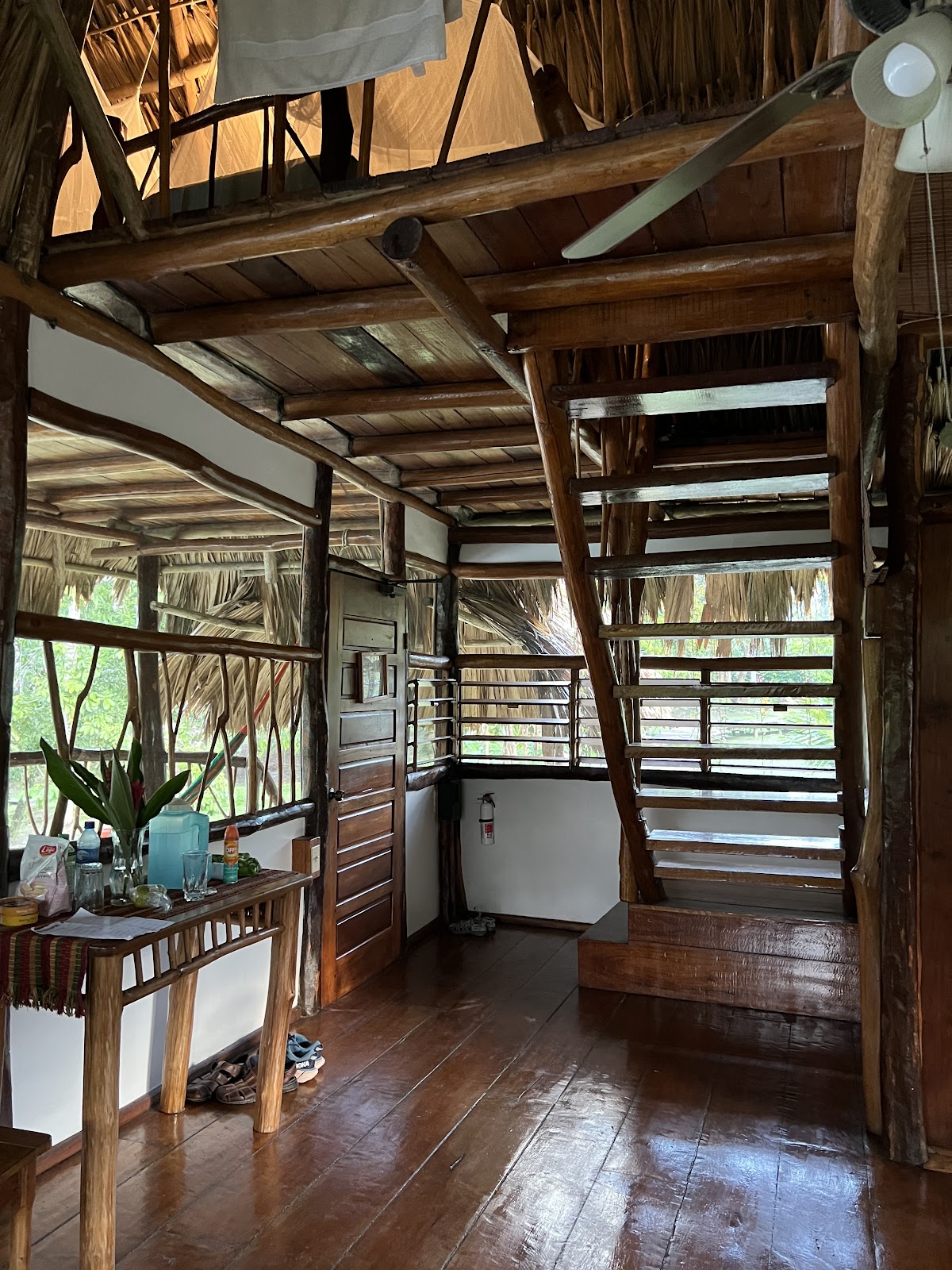 Cotton Tree Lodge gallery 3