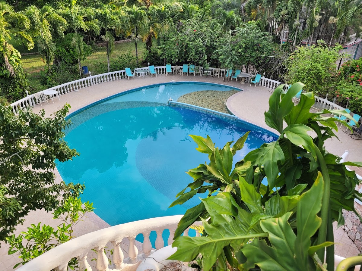 Banana Bank Lodge & Jungle Horseback Adventures gallery 3