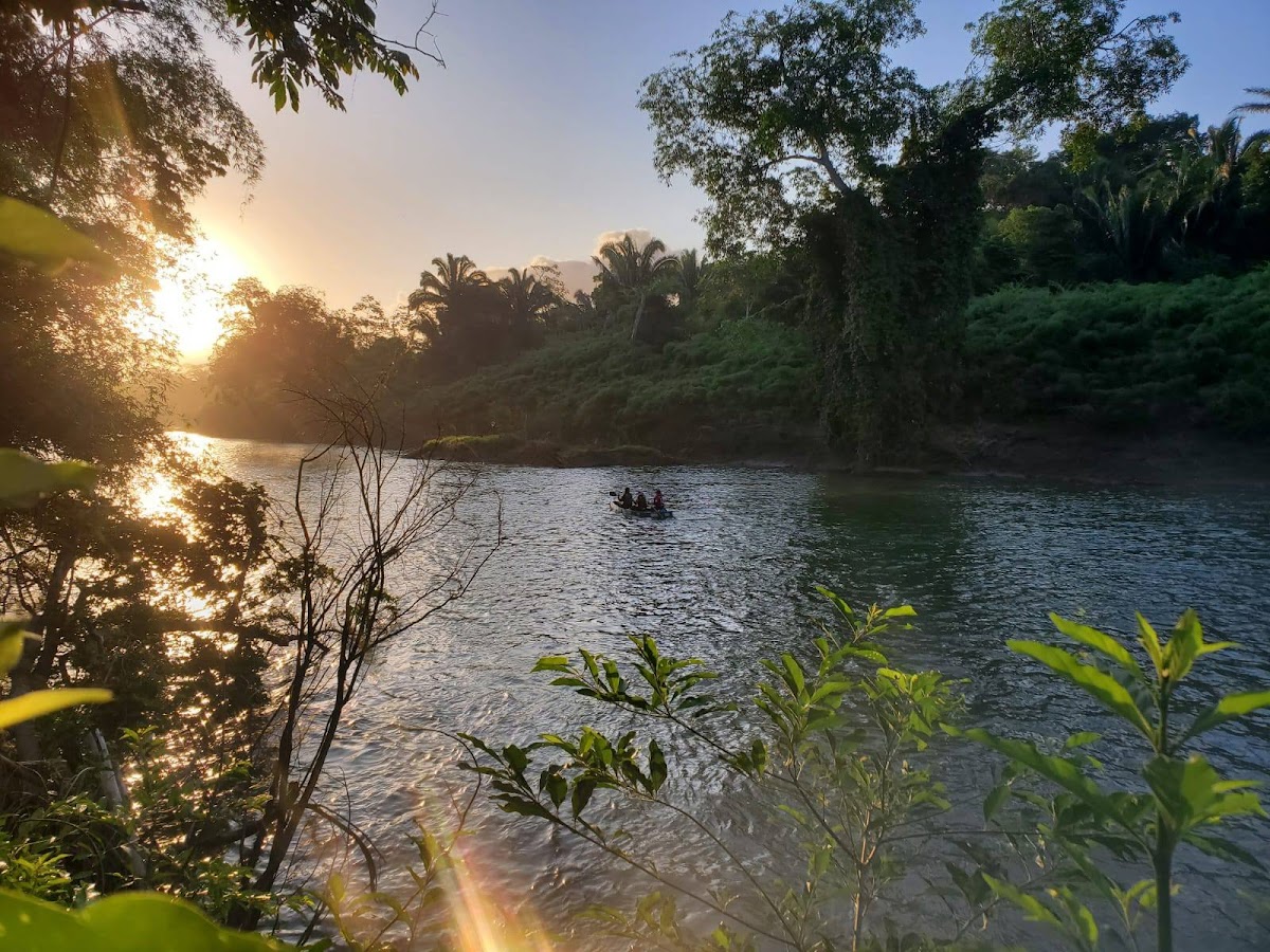 Banana Bank Lodge & Jungle Horseback Adventures gallery 4