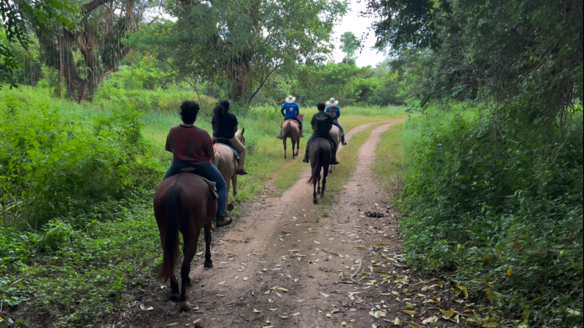 Banana Bank Lodge & Jungle Horseback Adventures gallery 5