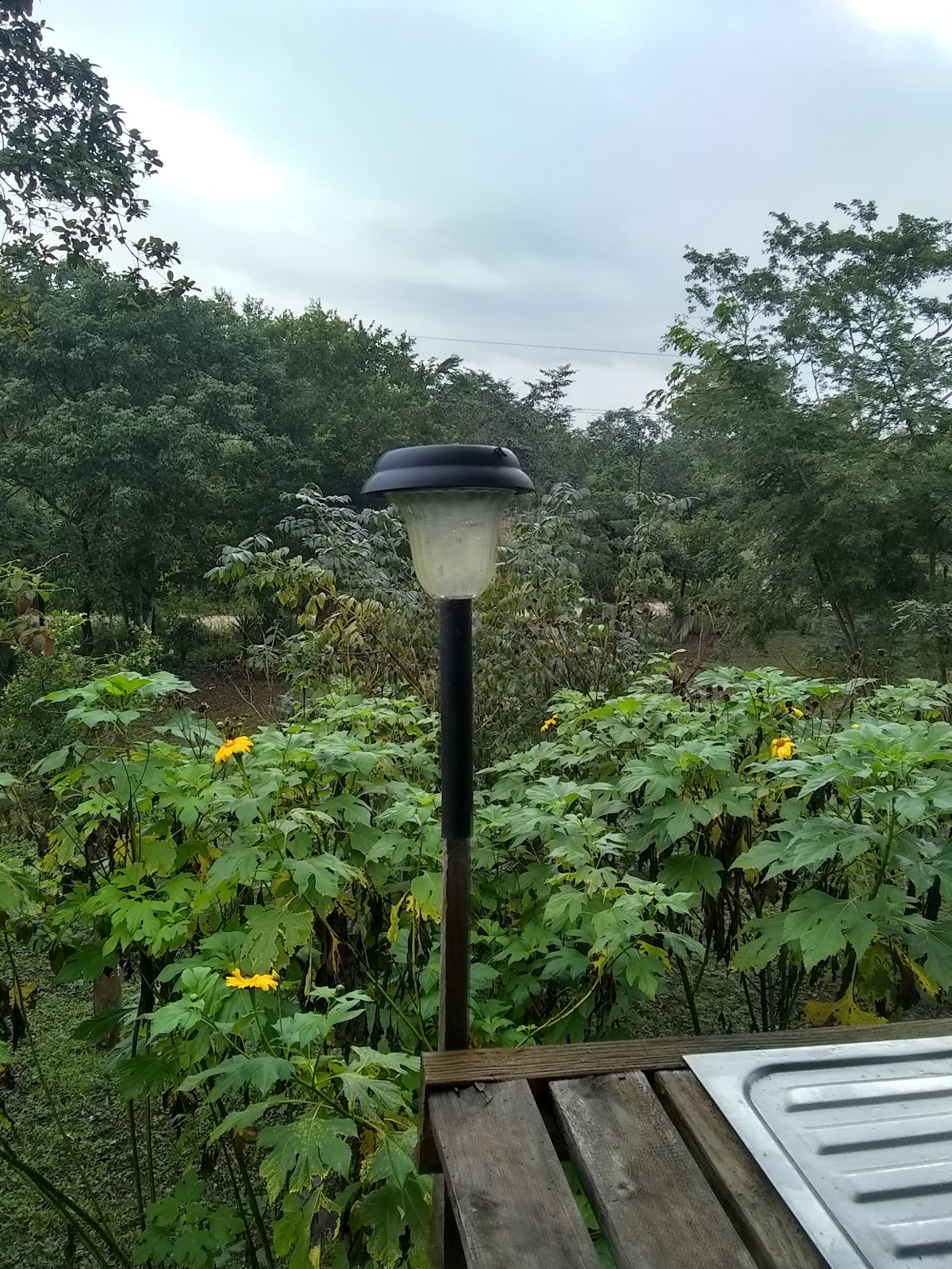 Xultun Farm cover