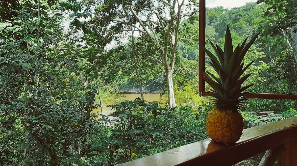 Alma Del Rio Eco-Comfort on the water gallery 7