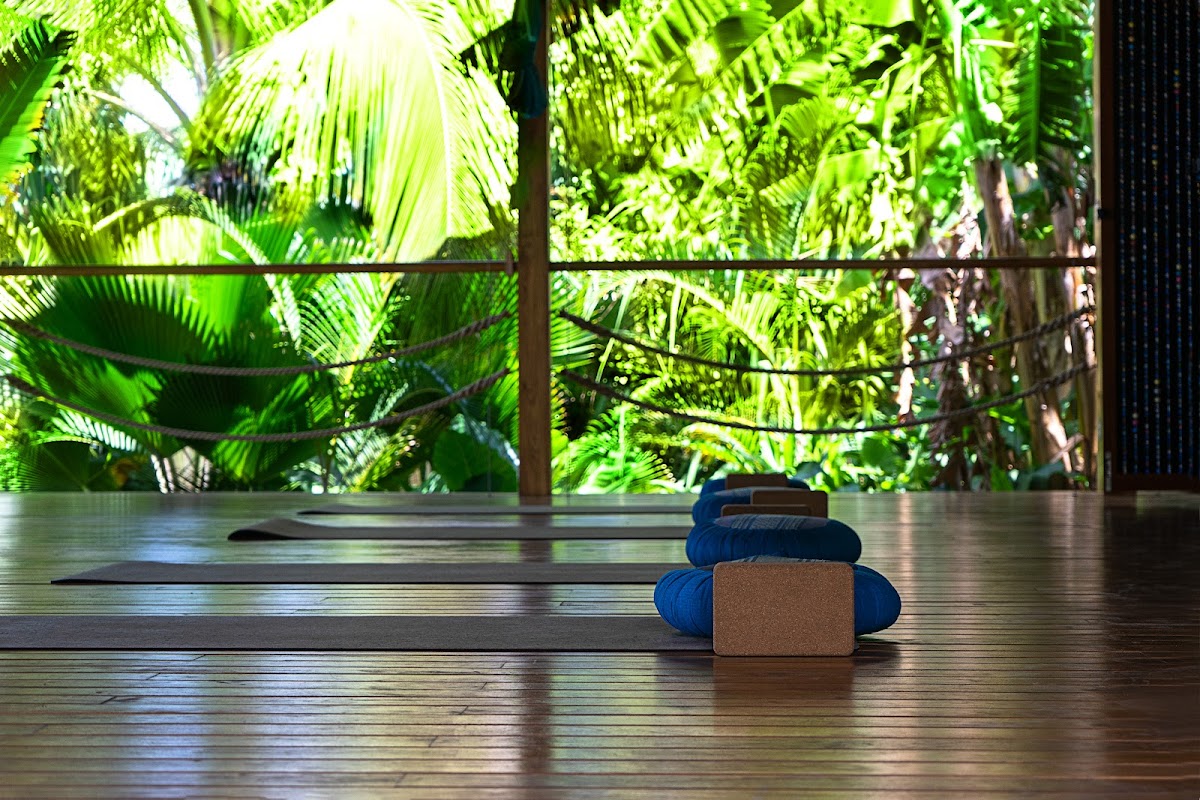 Balance Point Wellness & Massage @ Ananda Guesthouse gallery 7