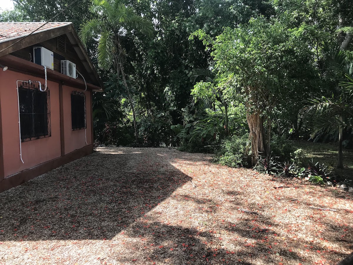 Bullet Tree Falls Lodge gallery 2