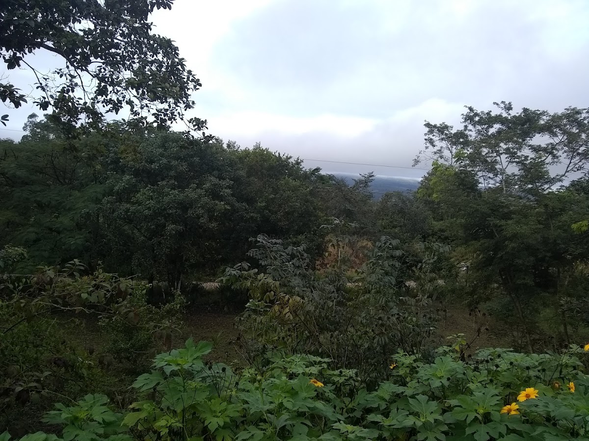 Xultun Farm gallery 2
