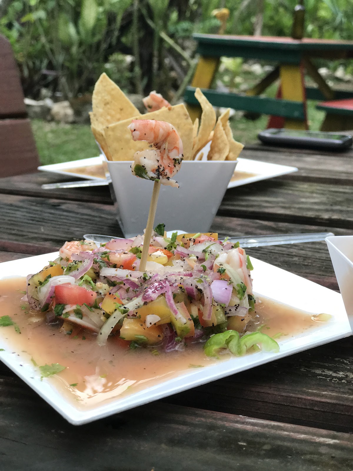 Rawspa Belize gallery 4